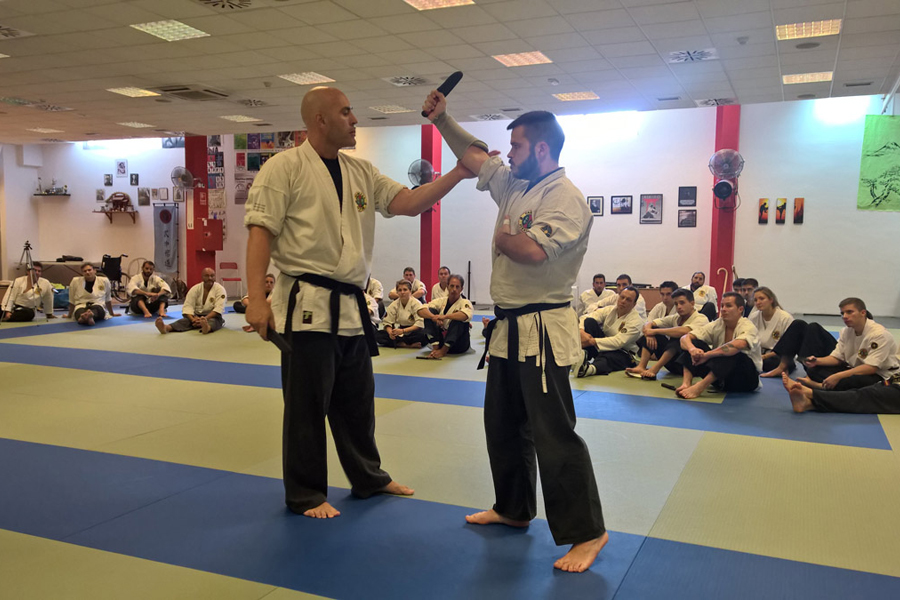 Yawara-Jitsu >