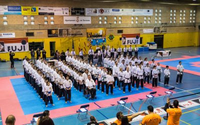 Bases REDUCIDAS del XIV Campeonato de España