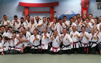 Crónica del curso anual de enseñanza (2018)