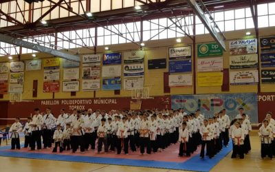 Bases REDUCIDAS del XV Campeonato de España
