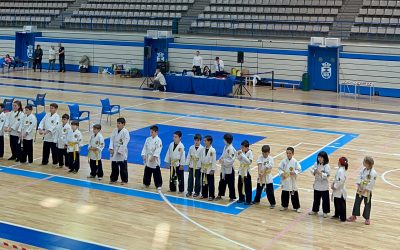 Crónica XI Campeonato de Madrid de Yawara-Jitsu